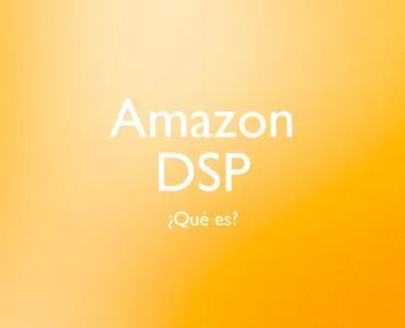 Dsp Blog Roicos