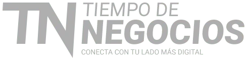 tiempo negocios logo gris
